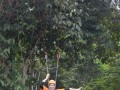 Tn DSC 4147